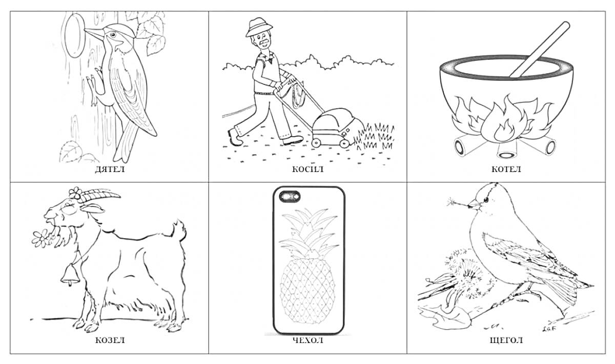 На раскраске изображено: Дятел, Мужчина, Газонокосилка, Котел, Костер, Козел, Чехол, Ананас, Птица, Щегол