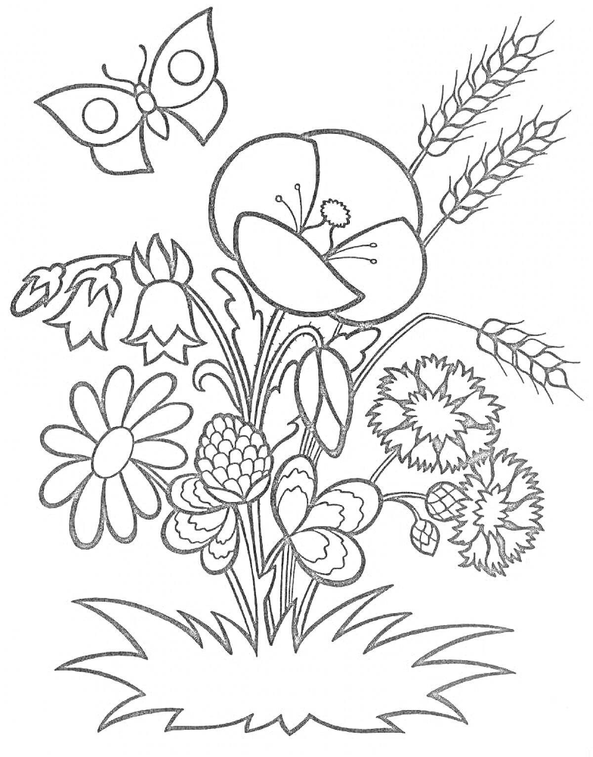На раскраске изображено: Полевые цветы, Бабочка, Ромашка, Мак, Цветение, Природа