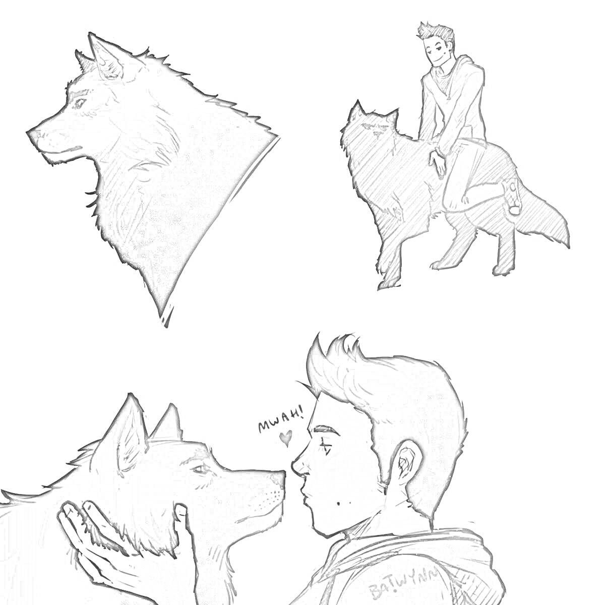 Раскраска Портрет волка, парень верхом на волке, парень обнимает волка
