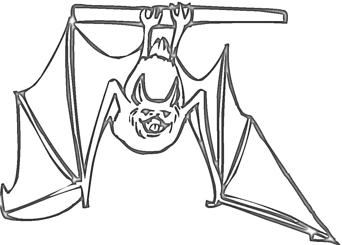 Раскраска Летучая мышь, висящая вниз головой на перекладине