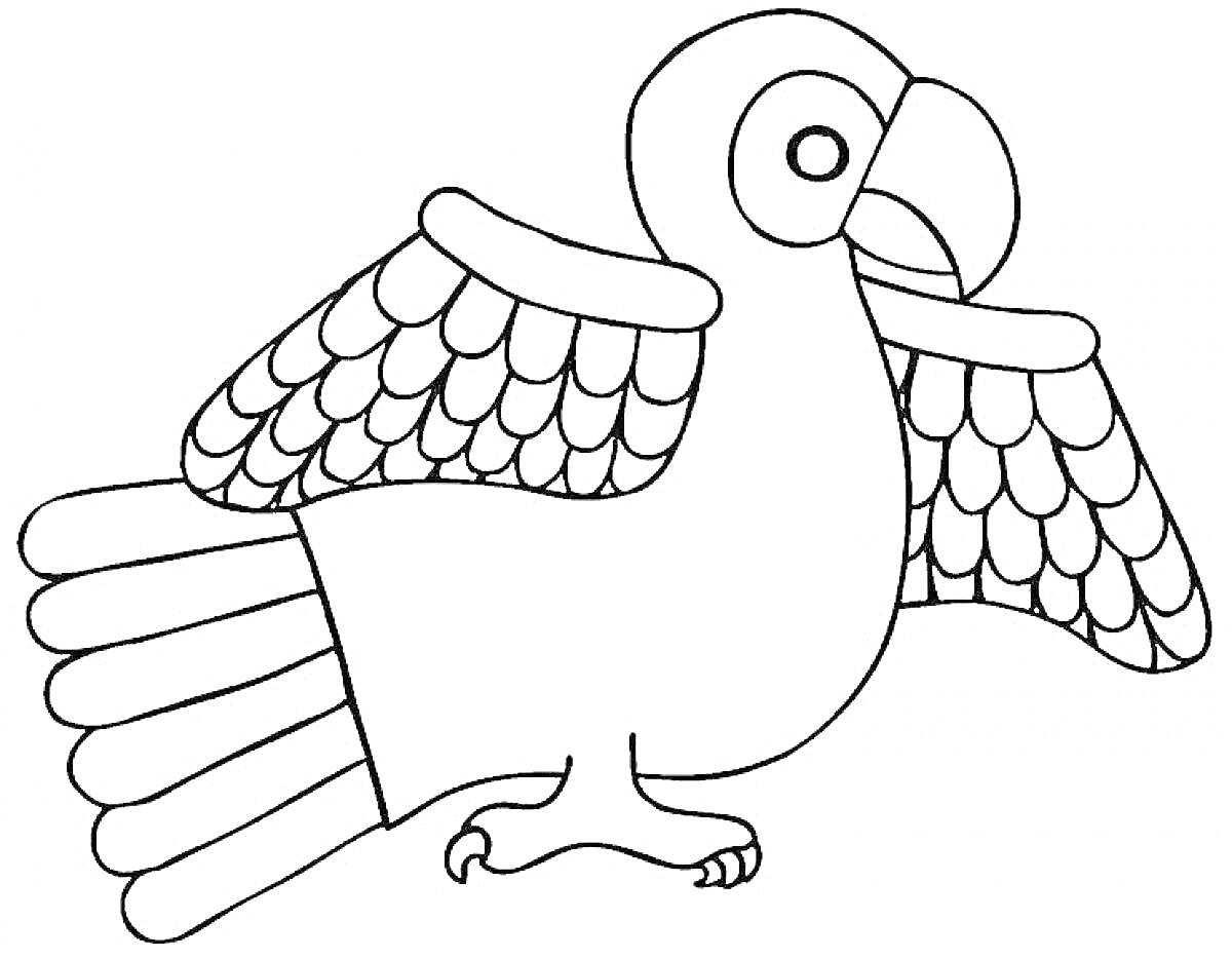 Раскраска Веселый попугай с раскрытыми крыльями