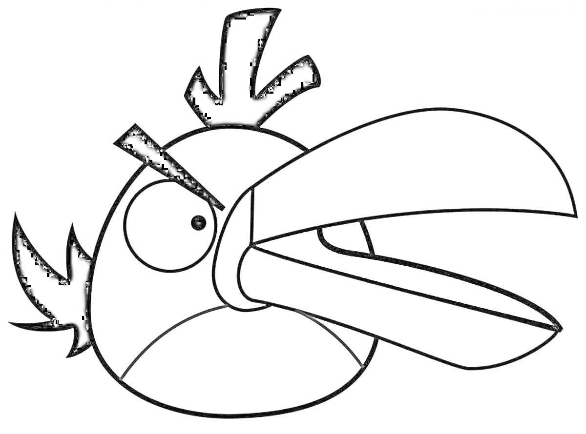 Раскраска Злой птица Toucan из игры Angry Birds с хохолком и большим клювом