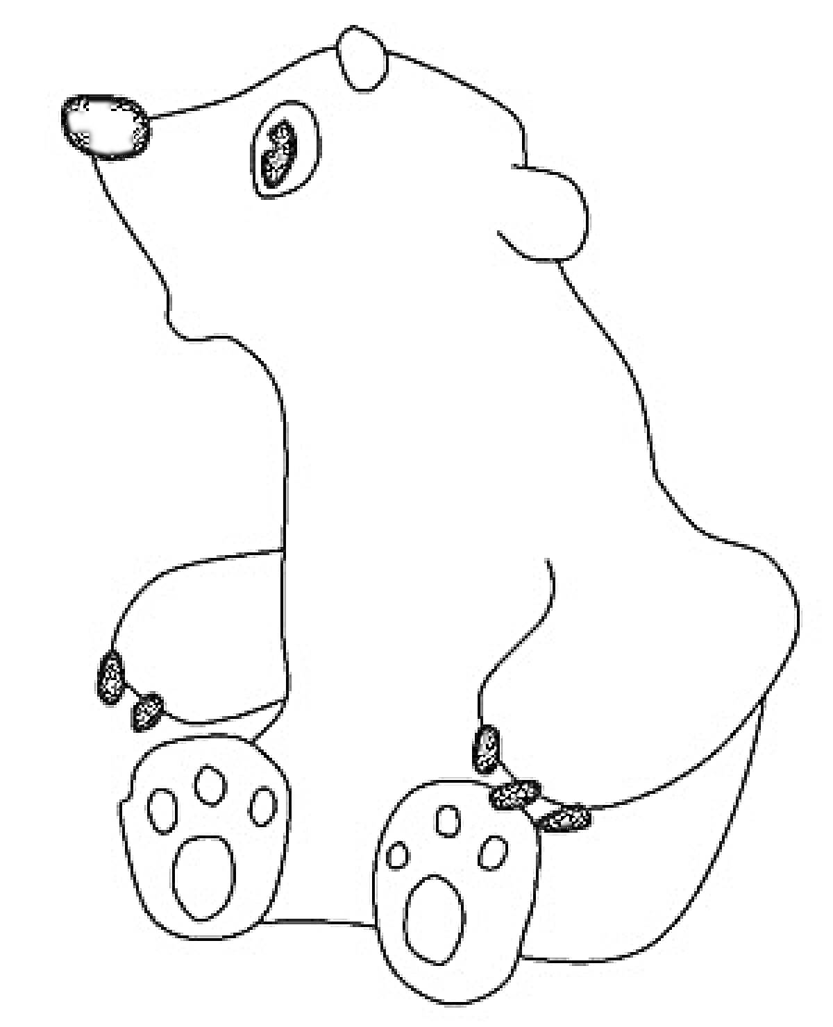 На раскраске изображено: Умка, Белый медведь, Для раскрашивания, Контурные рисунки, Медведь, Сидеть