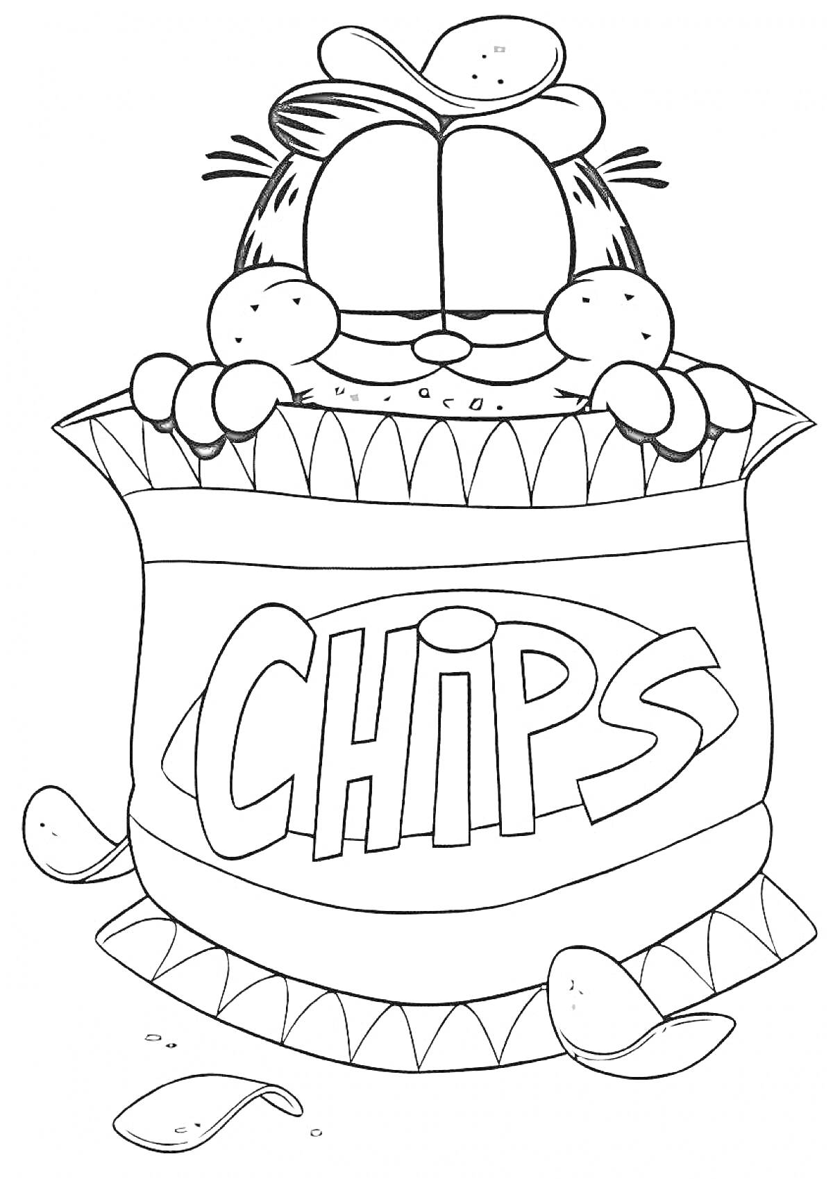 Раскраска Кот в шляпе в пакете с чипсами