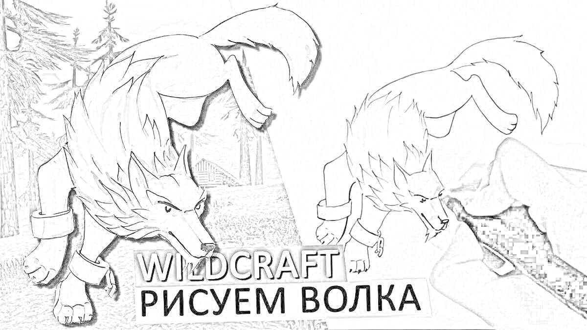 Раскраска Раскраска волка в стиле Wildcraft: дизайн и раскраска персонажа в лесу