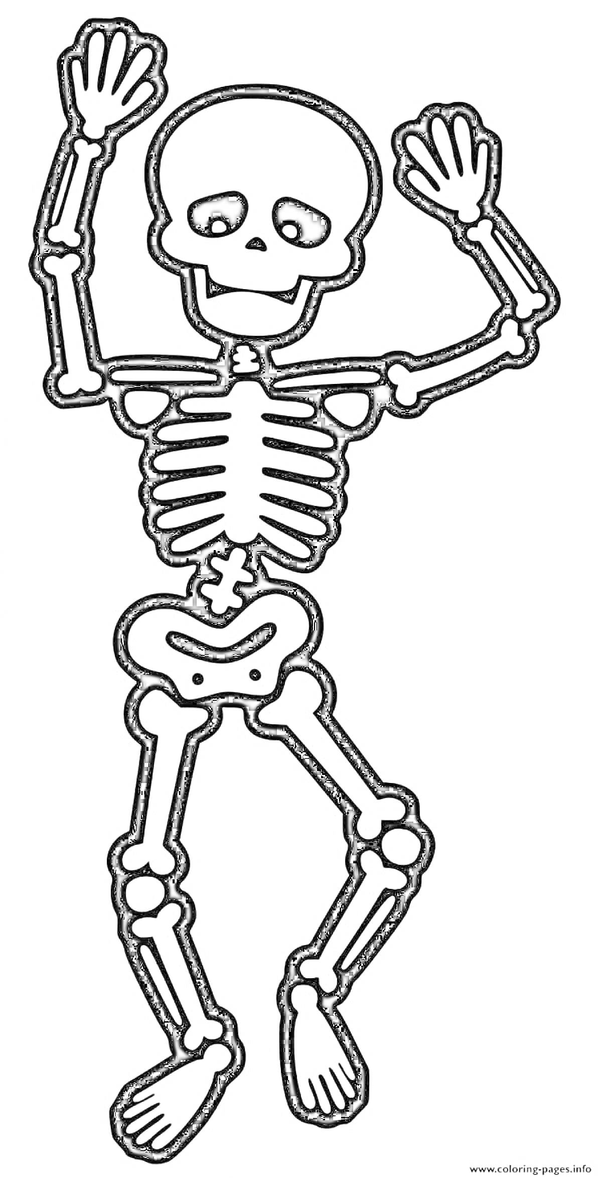 Раскраска скелет в танцующей позе, анатомические элементы включают череп, ребра, позвоночник, руки, запястья, кисти, бедренные кости, голени и стопы.