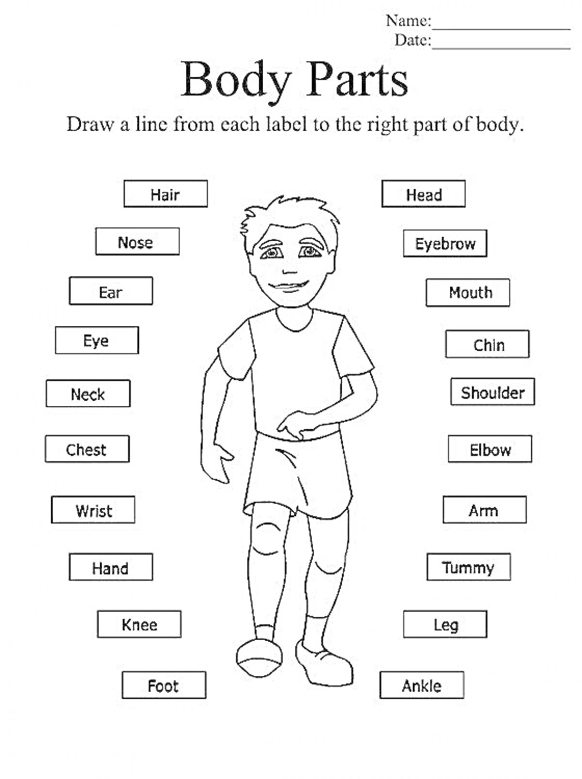 Раскраска Body Parts for Kids Coloring Sheet with Specific Body Part Labels in English