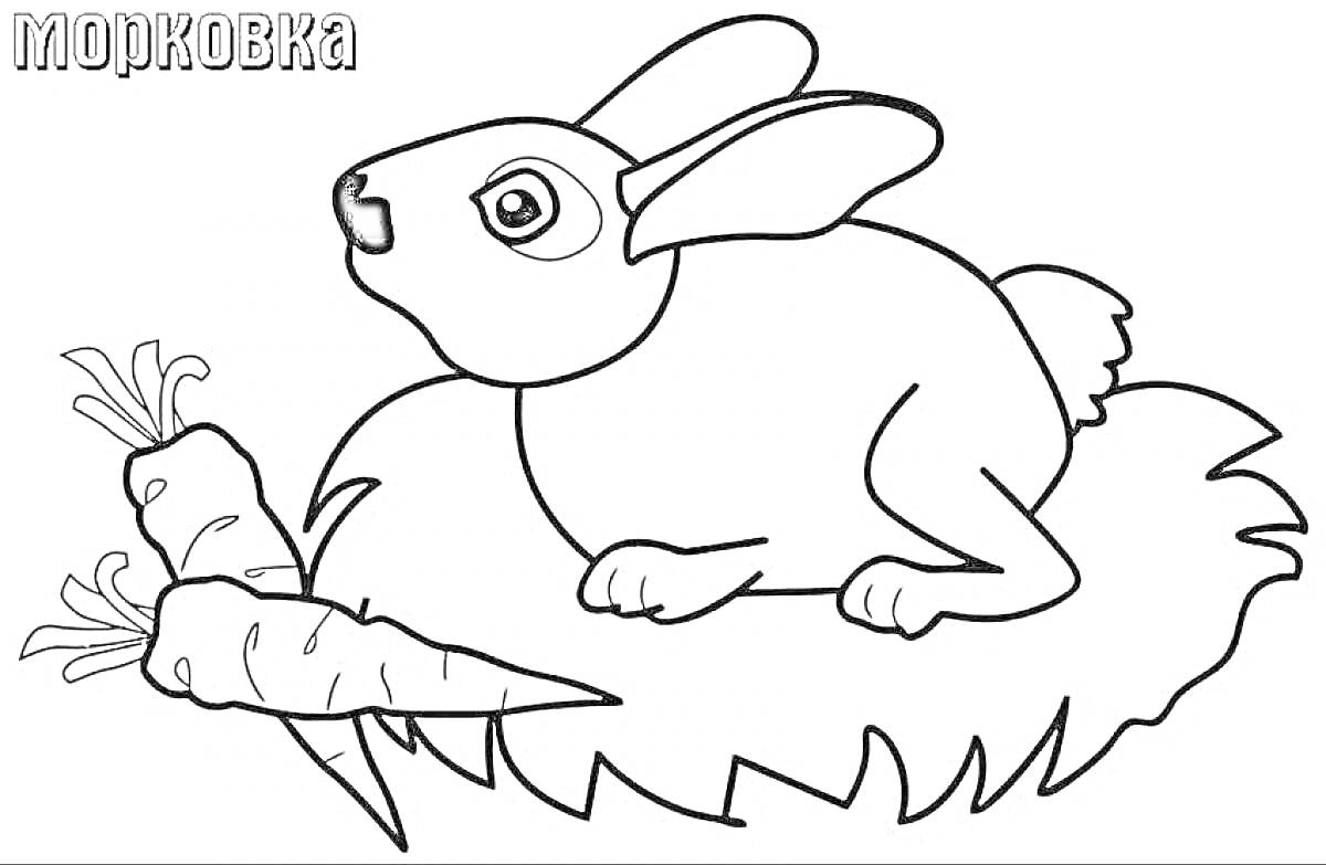На раскраске изображено: Кролик, Трава, Животные, Овощи, Для детей, Контурные рисунки, Морковь