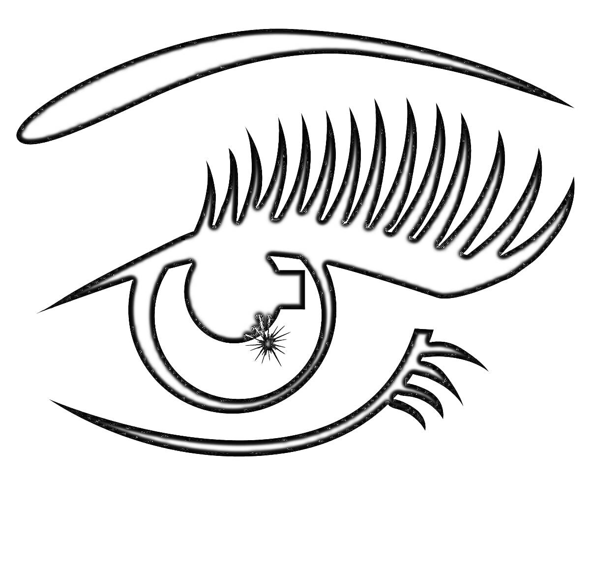 Раскраска Бровь и глаз с ресницами на белом фоне