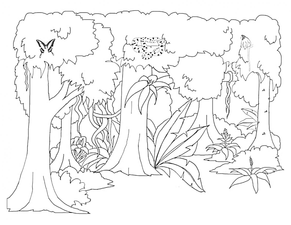 На раскраске изображено: Джунгли, Деревья, Бабочка, Леопард, Растения, Лианы, Кусты, Природа, Попугаи