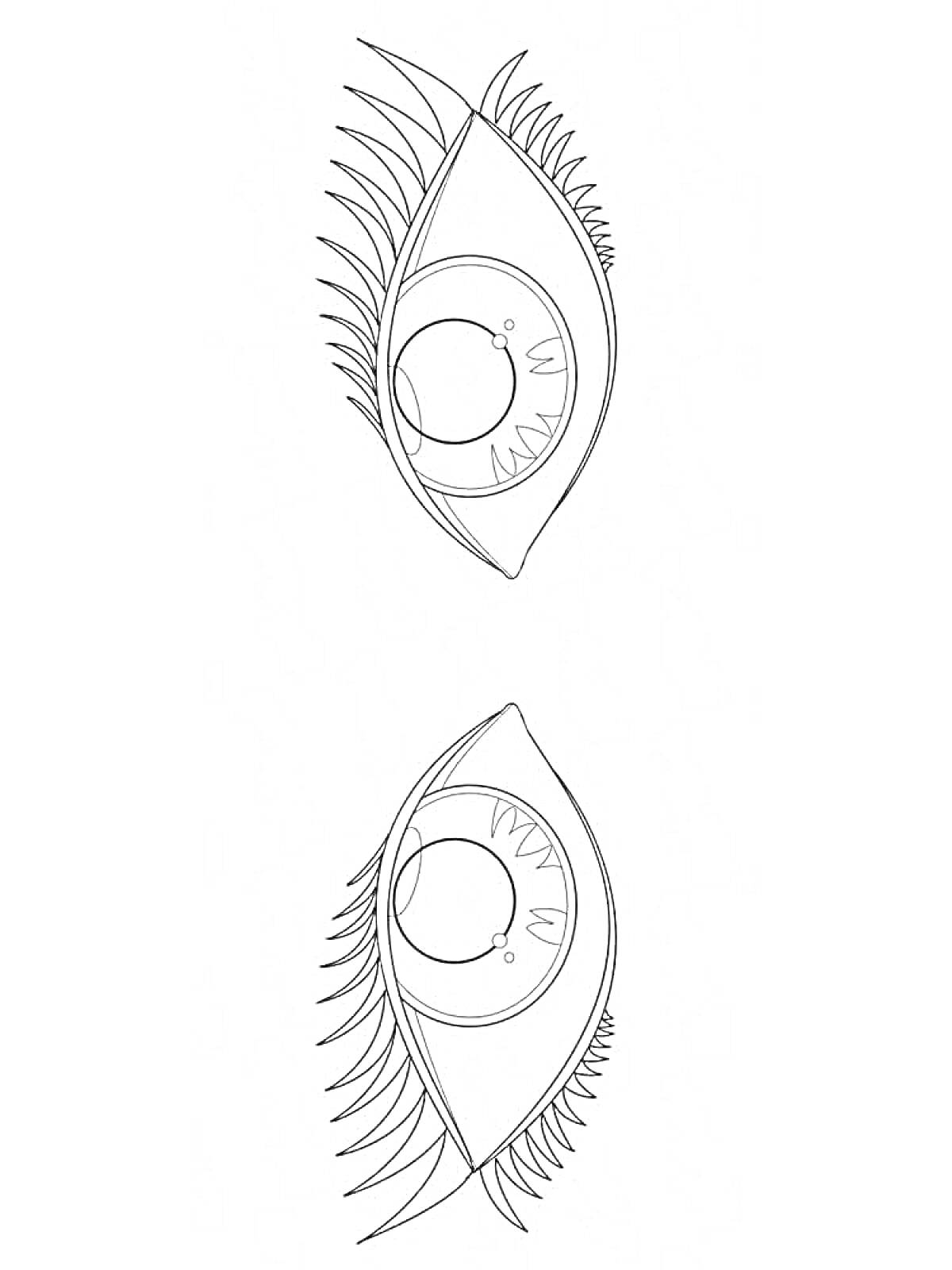 На раскраске изображено: Глаза, Ресницы, Зрачок, Радужка, Детали