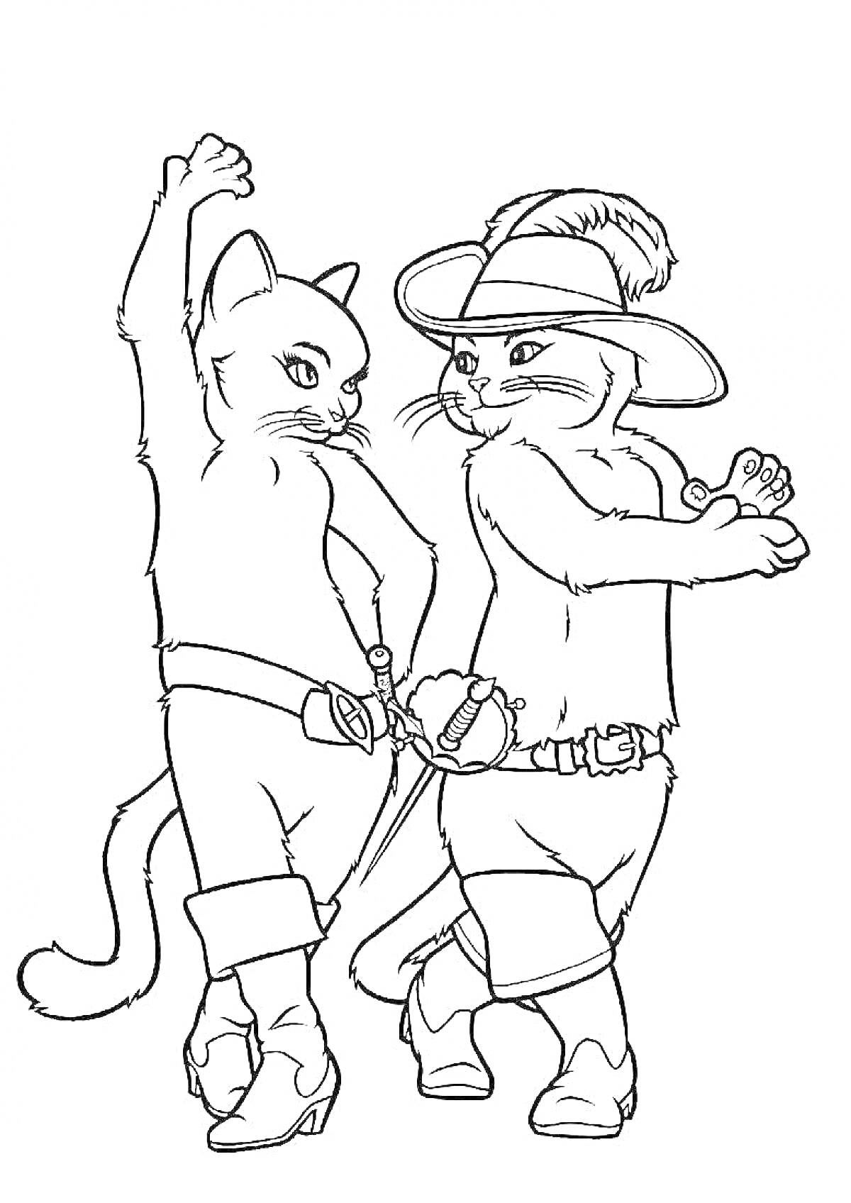 Раскраска Два кота в сапогах с мечами и шляпами