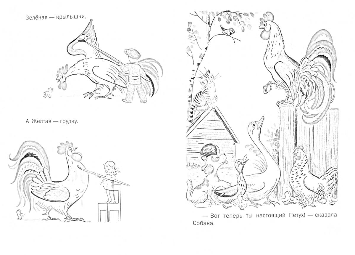 На раскраске изображено: Сутеев, Петух, Краски, Мальчик, Забор, Индюк, Домик, Животные