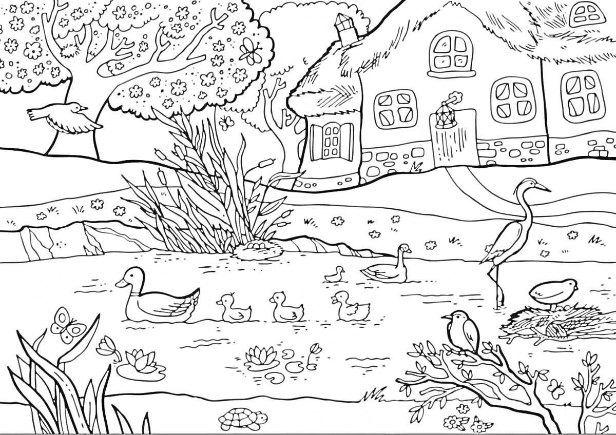 На раскраске изображено: Весна, Дом, Пруд, Природа, Аист, Гнездо, Яйца, Цветущие деревья, Кусты
