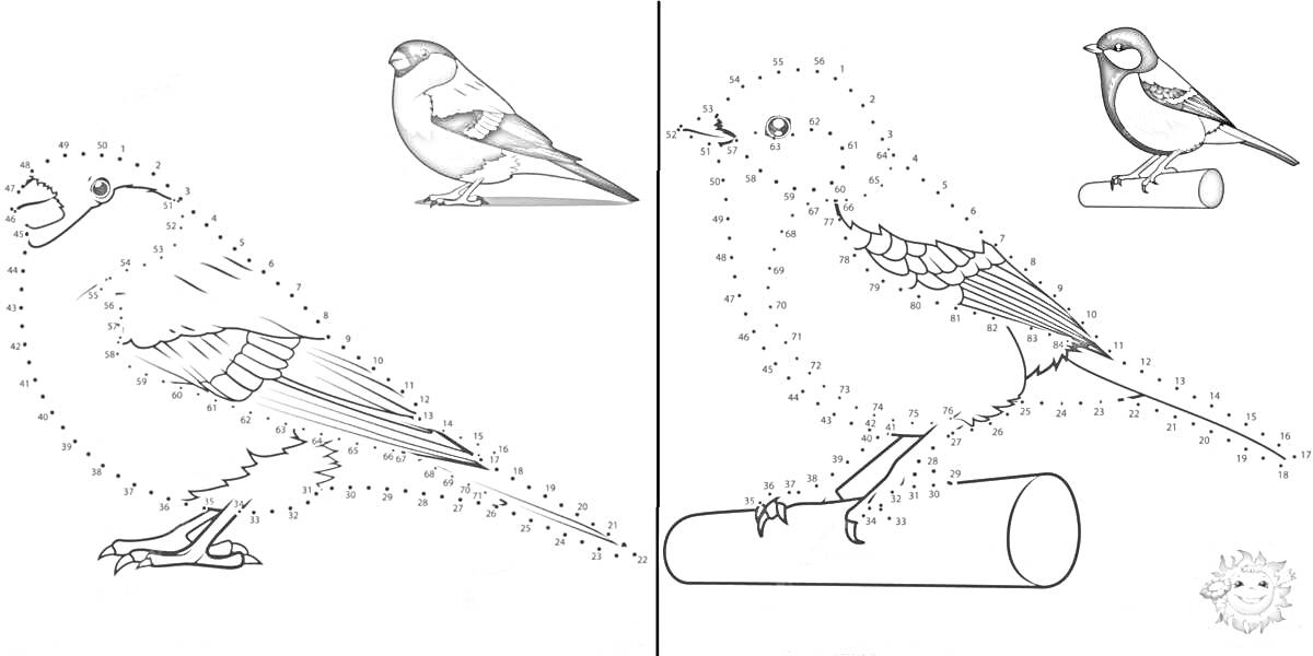 На раскраске изображено: Зимующие птицы, Снегирь, Точки, Для детей, 6 лет, 7 лет, Синица