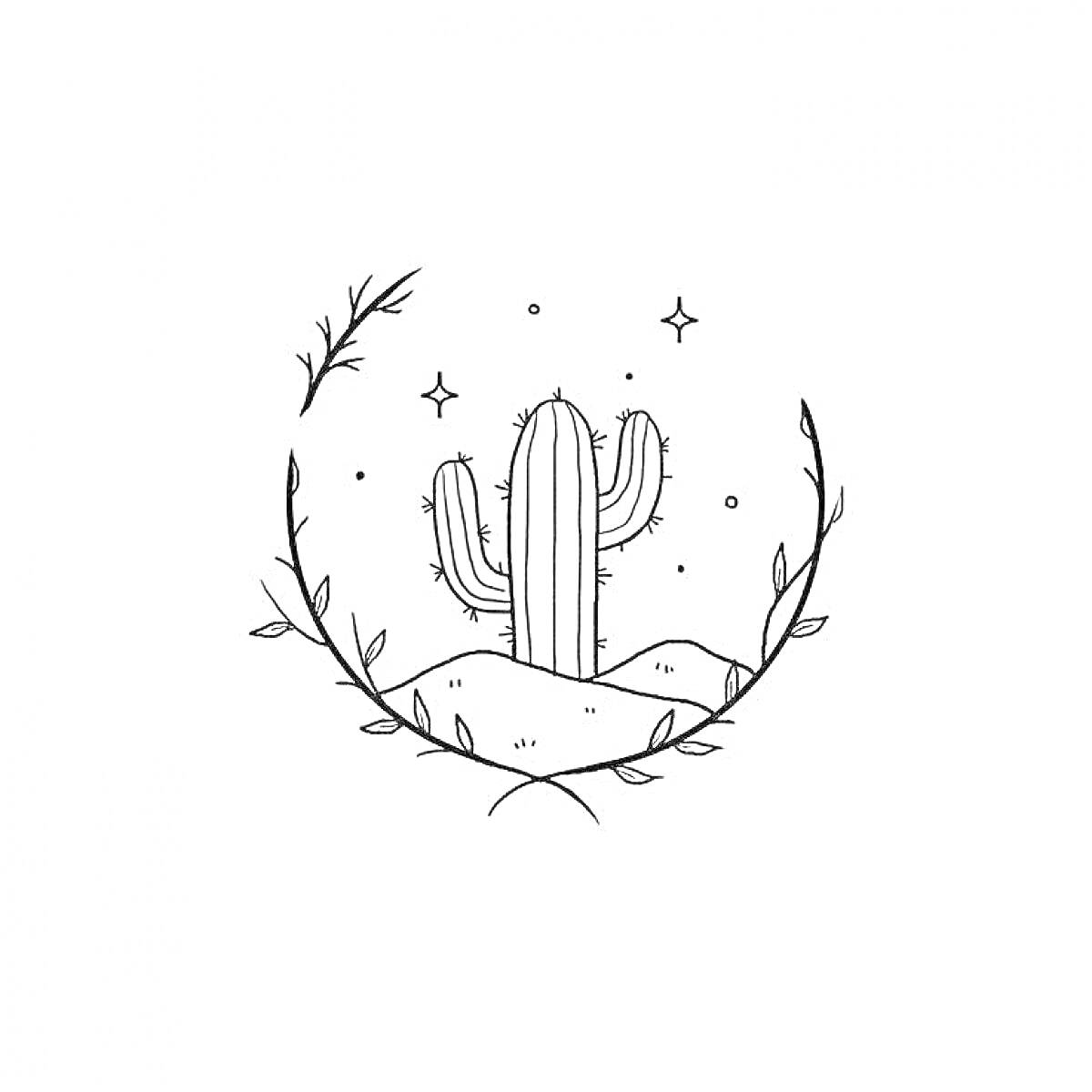 Раскраска Кактус с колючками на фоне звезд, обрамленный венком из веточек