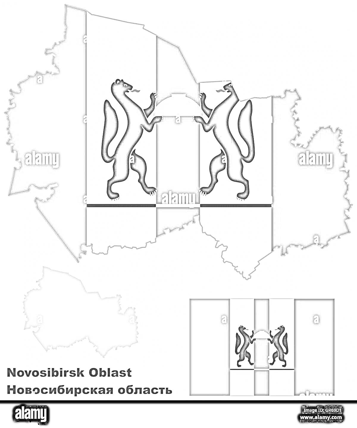 Раскраска Герб Новосибирской области на сером фоне карты Новосибирской области