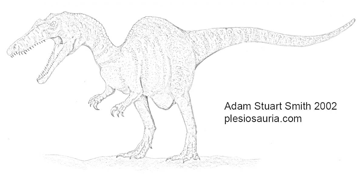 Раскраска барионикс, подпись художника Adam Stuart Smith 2002, сайт plesiosauria.com