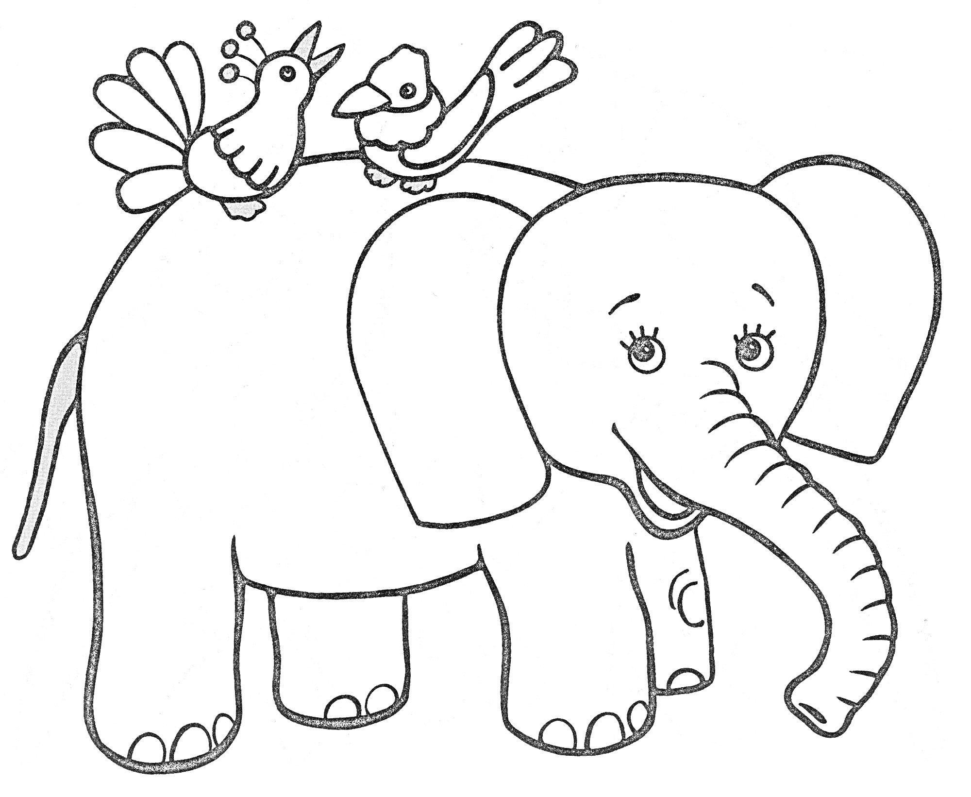 На раскраске изображено: Слон, Природа, Мультяшные животные, Для детей, Птица, Животные