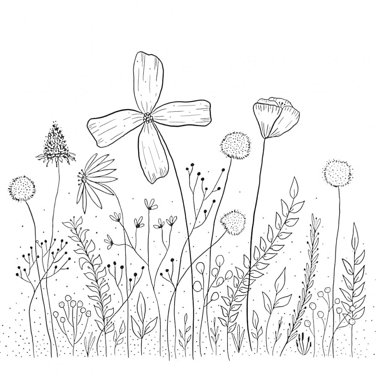 На раскраске изображено: Цветы, Поляна, Мак, Лепестки, Природа