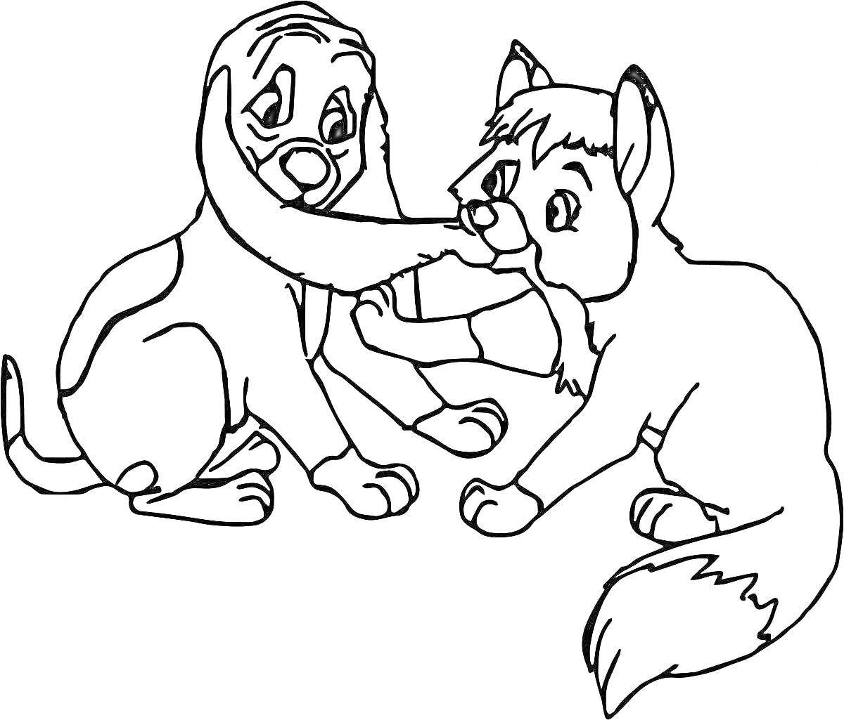 Раскраска собака и кошка, играющие вместе