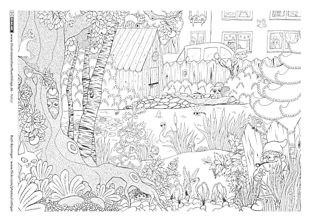 Раскраска Сад с домом, машиной, забором, лягушками, деревьями, кустарниками, травой, цветами, насекомыми, лебедями и прудом