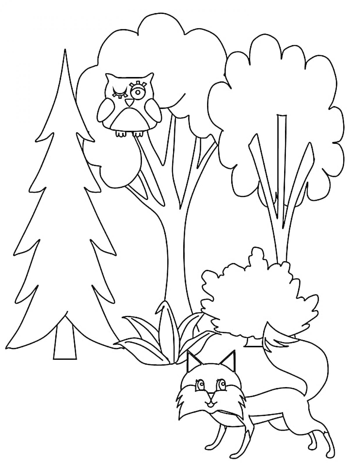 На раскраске изображено: Лиса, Лес, Сова, Для детей, Природа, Деревья, Кусты, Елки