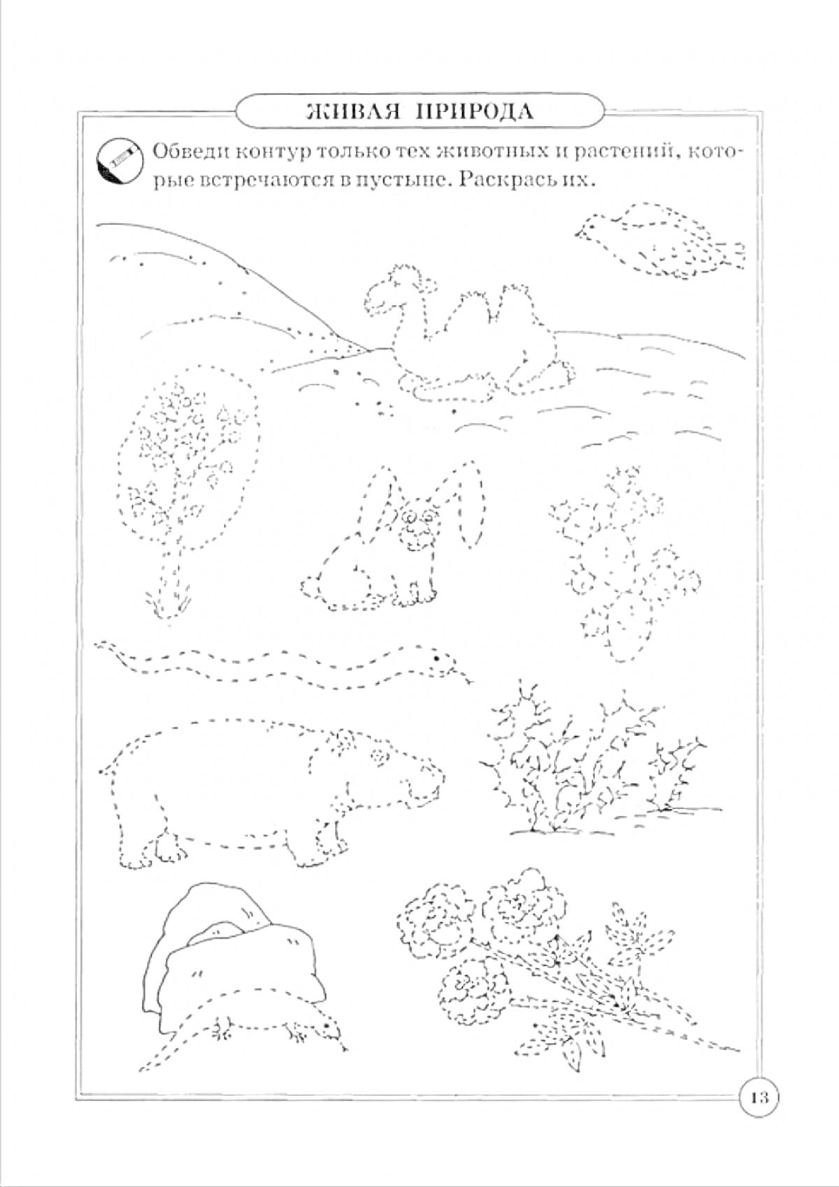 На раскраске изображено: 2 класс, Животные, Растения, Пустыня, Верблюд