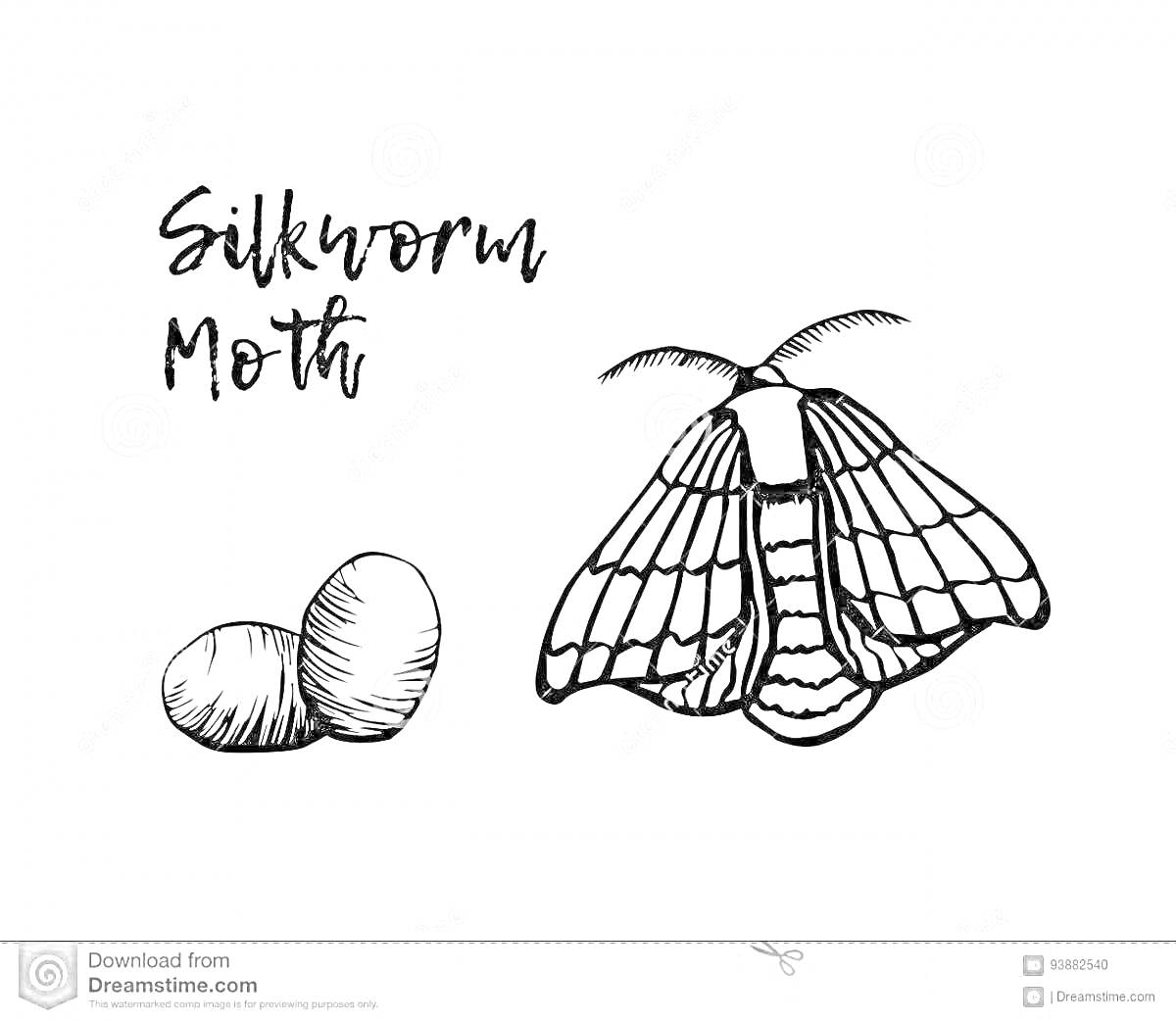 На раскраске изображено: Бабочка, Природа, Насекомое