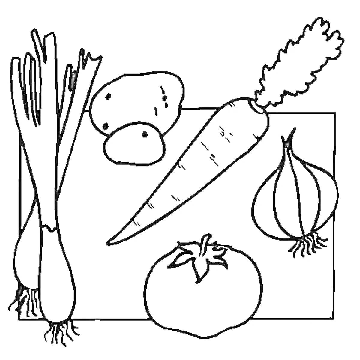 На раскраске изображено: Овощи, Картофель, Морковь, Лук, Помидор