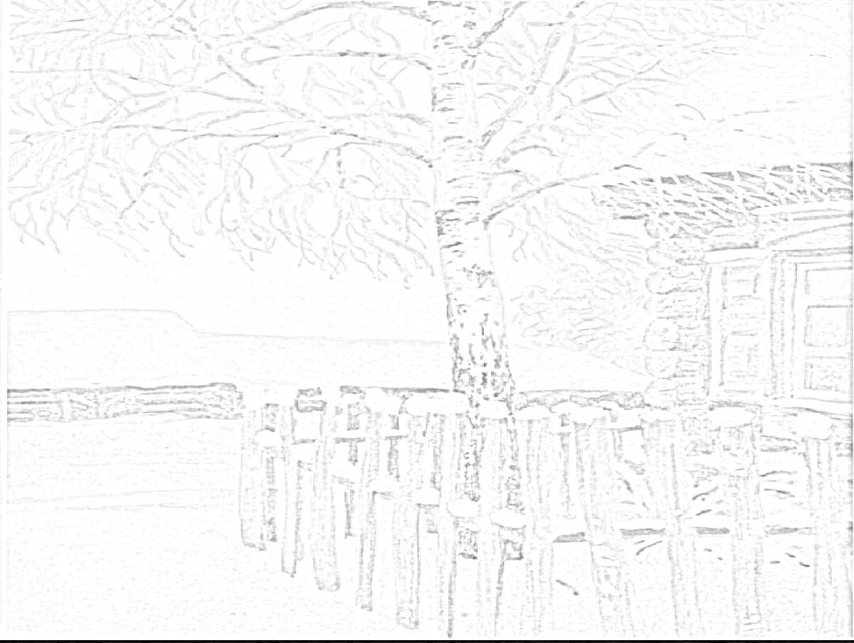 На раскраске изображено: Береза, Зима, Снег, Деревянный дом, Забор, Природа