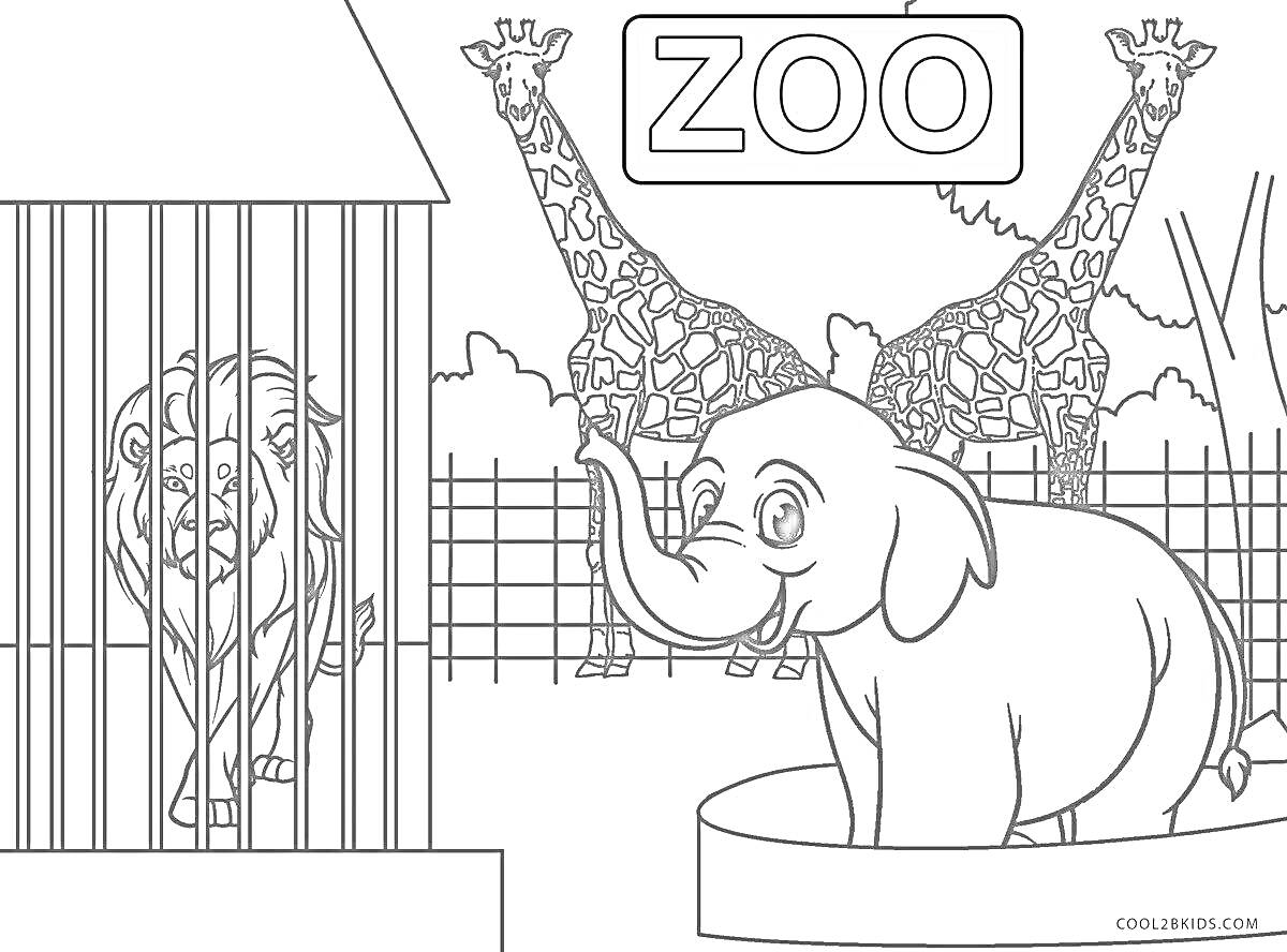 На раскраске изображено: Лев, Жирафы, Слон, Ванна, Зоопарк, Животные