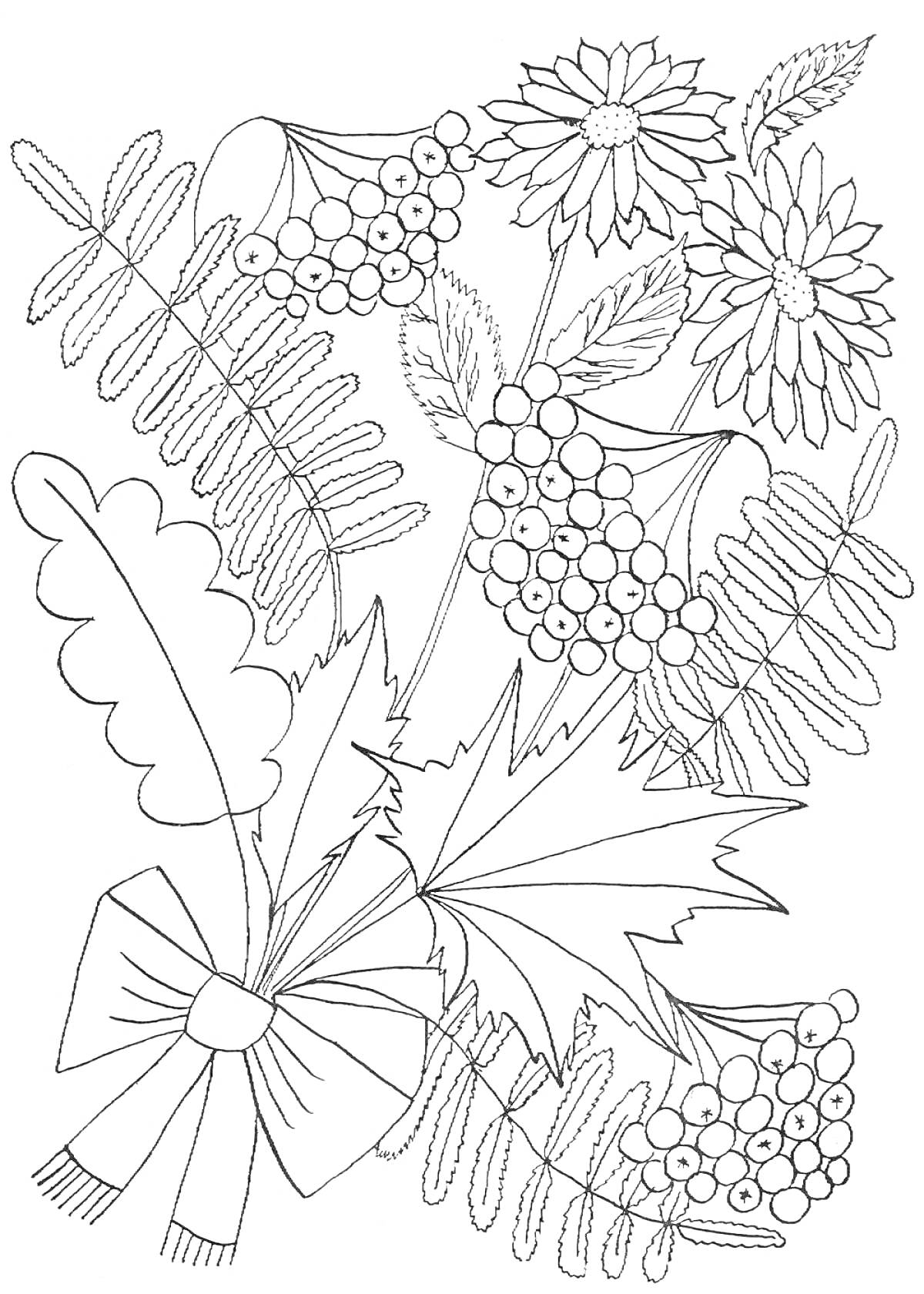 РаскраскаОсенний букет с рябиной, листьями папоротника, хризантемами и воздушным бантом