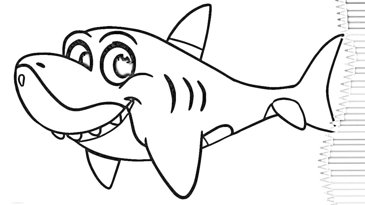 Раскраска Улыбающаяся акула для раскраски с цветными карандашами