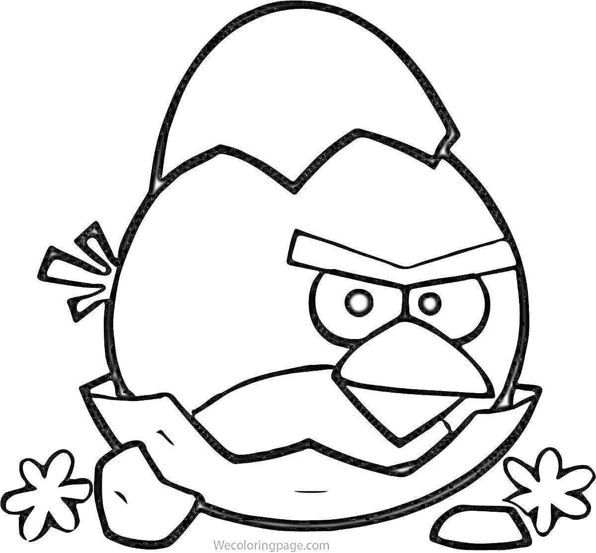 Раскраска Angry Bird в скорлупе с камнями и цветками