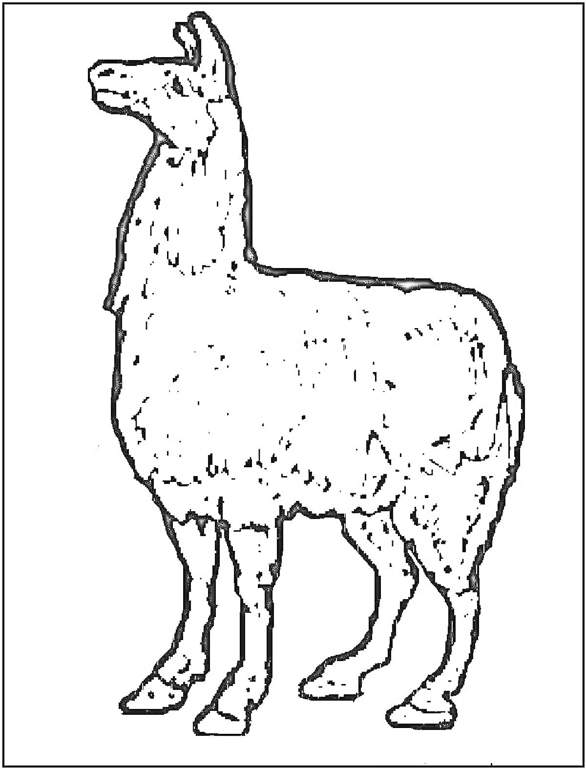 Раскраска Раскраска лама стоящая в профиль