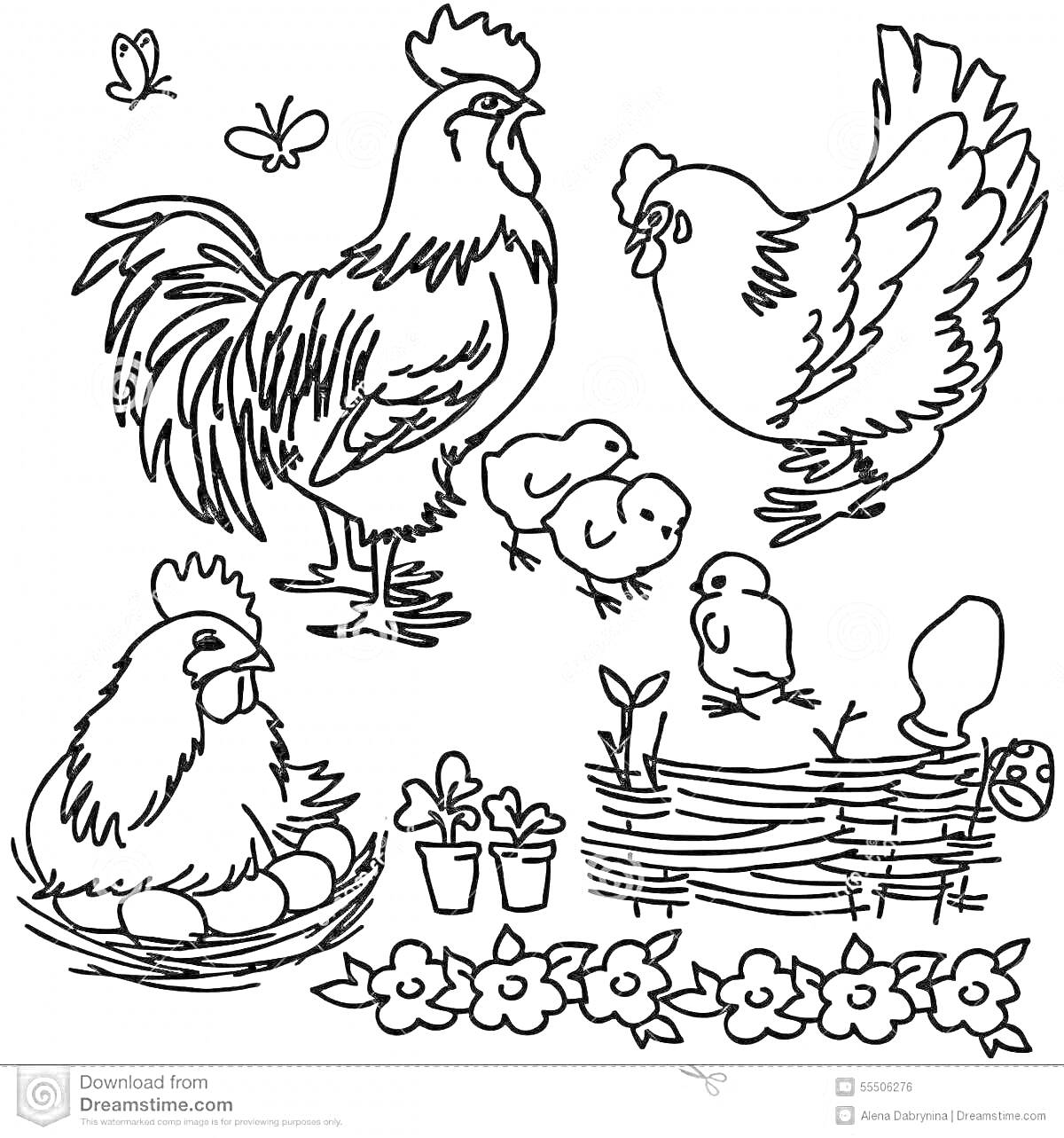 Раскраска Петух, курица, цыплята, наседка, забор, растения, цветы, бабочки