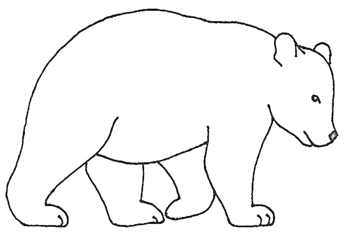 Раскраска Контурное изображение медведя на ходу
