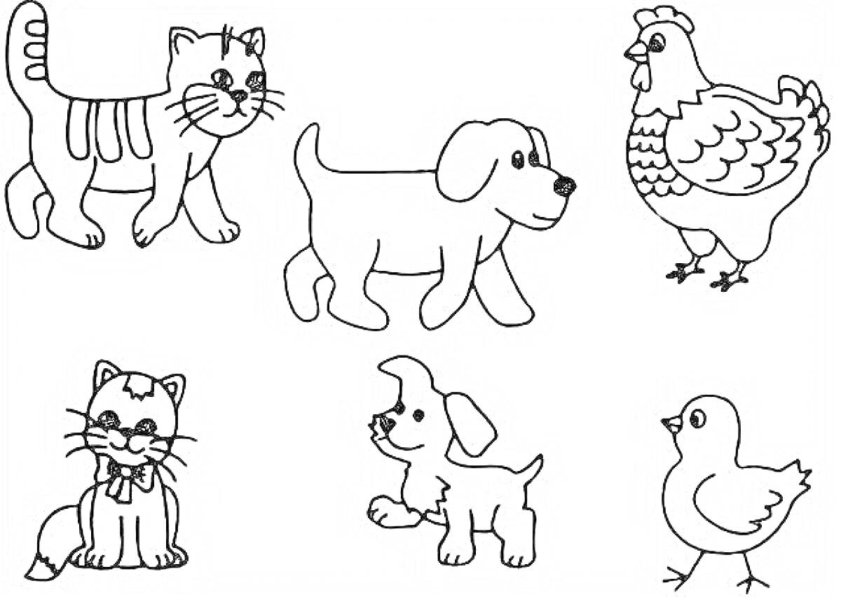 На раскраске изображено: Домашние животные, Собака, Для детей, Кот, Курицы, Цыплята