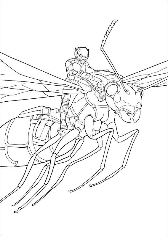 Раскраска Человек-муравей, сидящий на летающей гигантской осе