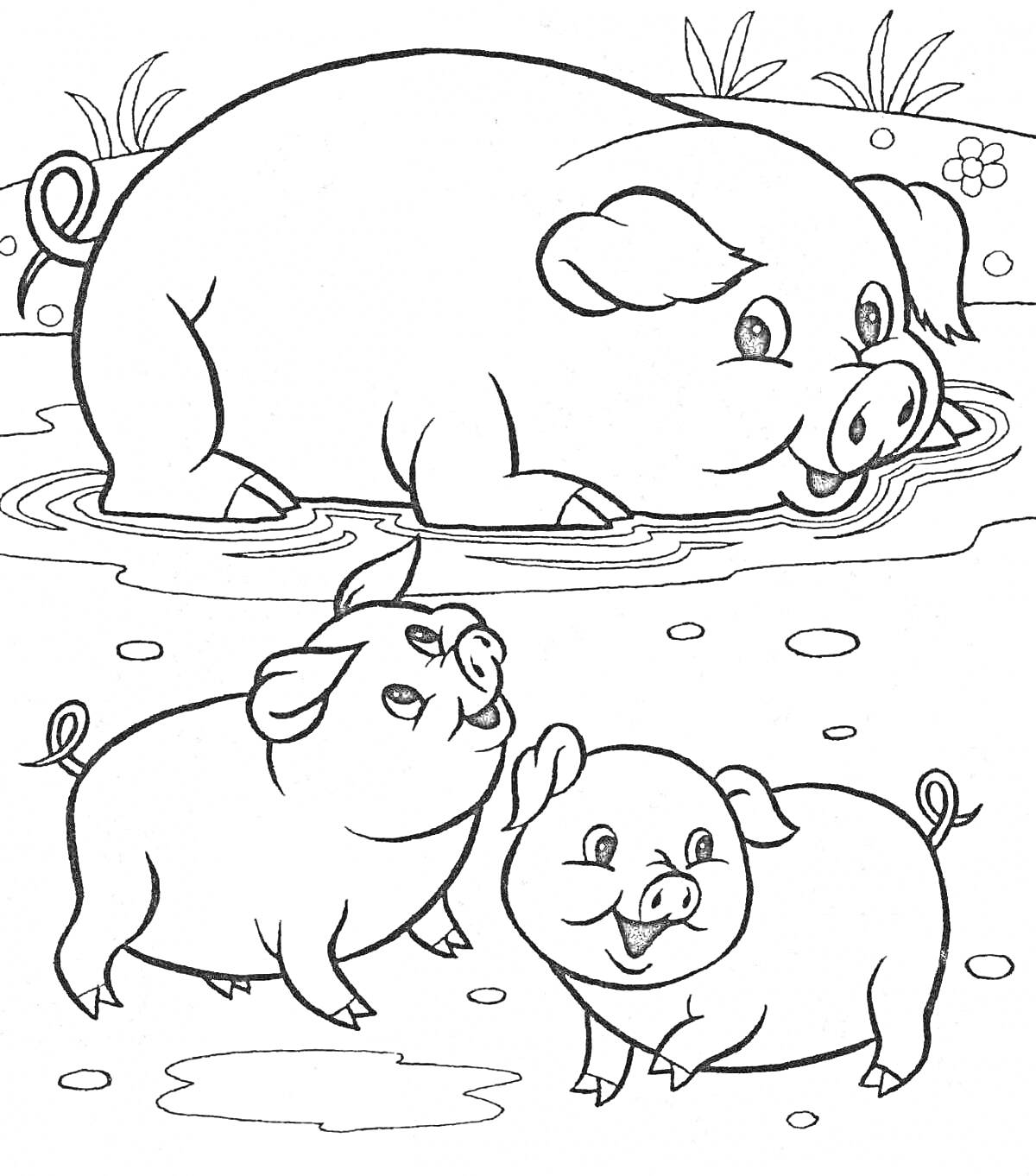 Раскраска Свинья в луже с двумя поросятами в саду
