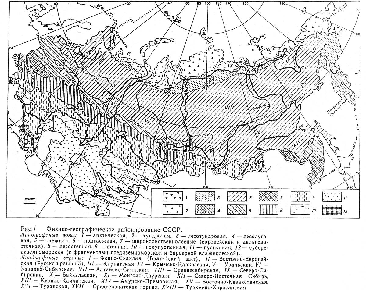 Карта физаико-географического районирования СССР с обозначением лесотундры, тундры, лесостепи, степи, широколиственных лесов, средней тайги, северной тайги, низкогорий, горных лесов, высокогорий и других природных зон.