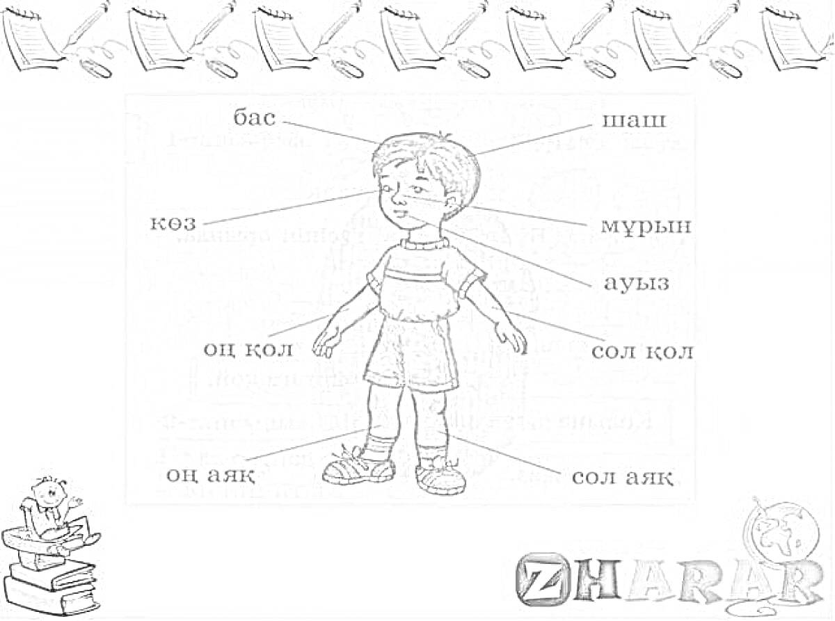Раскраска Дененің бөліктері: бас, көз, оң қол, оң аяқ, шаш, мұрын, ауыз, сол қол, сол аяқ