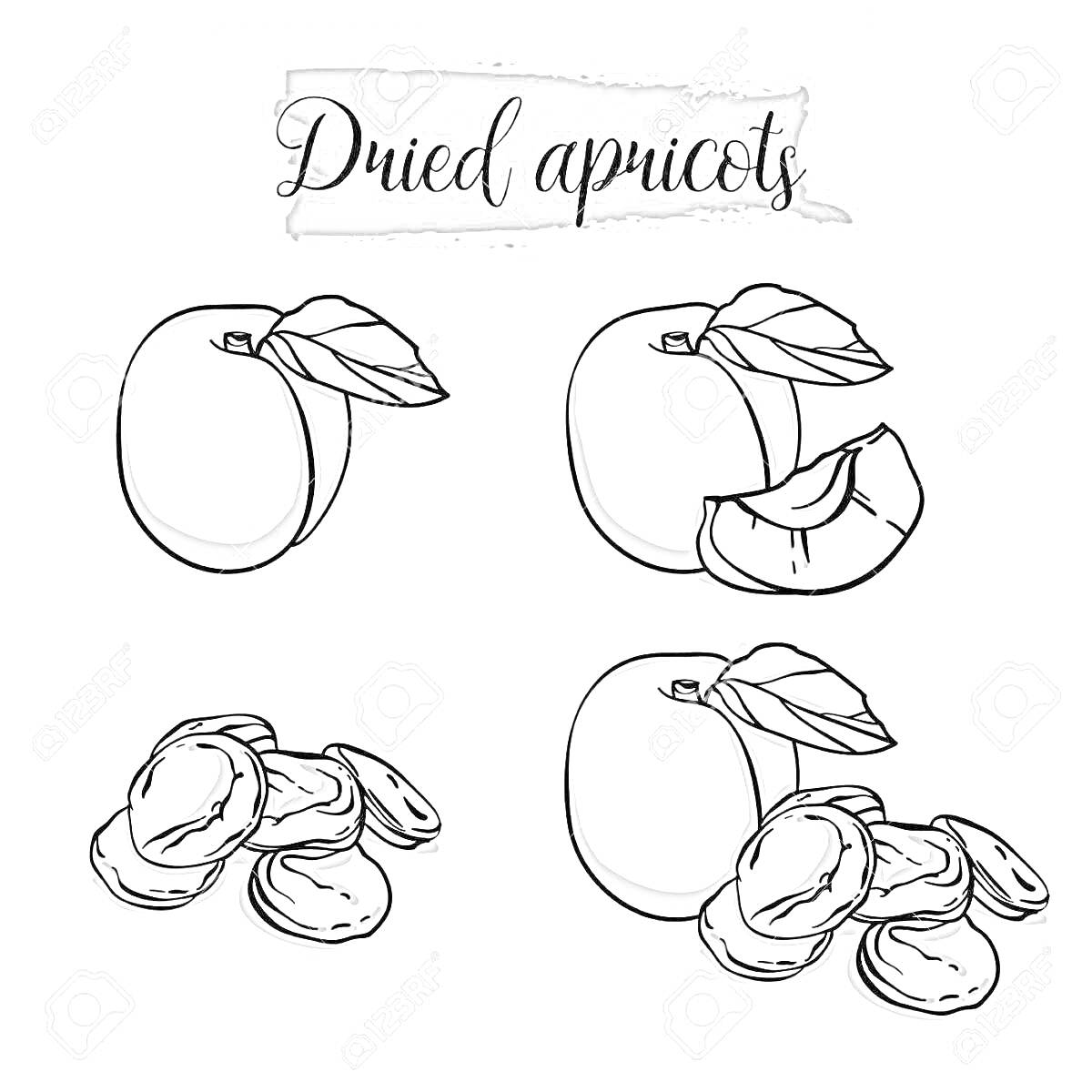 Раскраска Dried apricots - два целых абрикоса с листьями, абрикос с одной долькой, кучка сушеных абрикосов