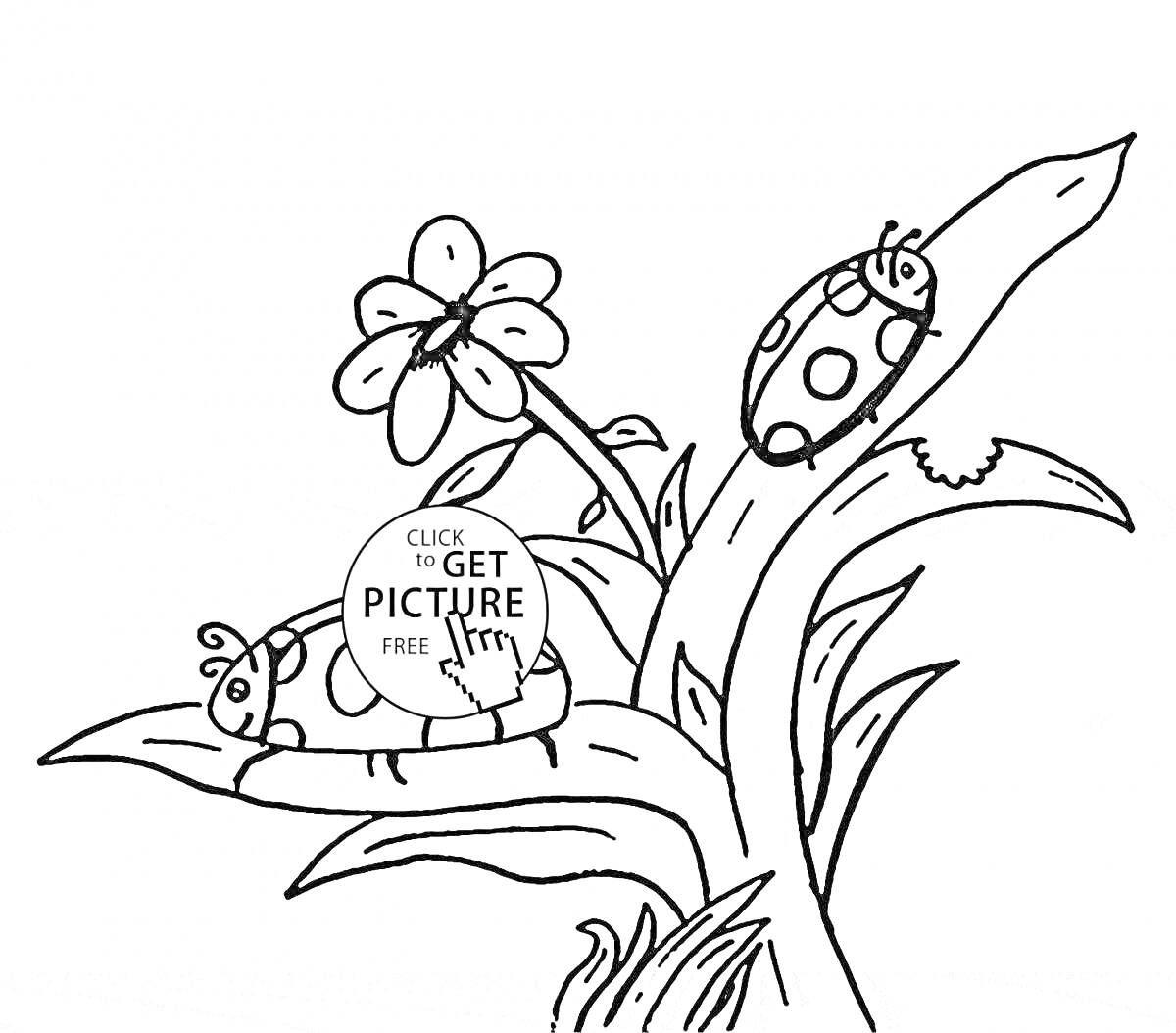 На раскраске изображено: Жуки, Листья, Природа, Для детей