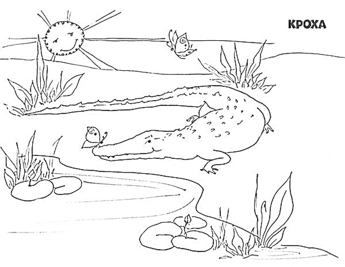 Раскраска крокодил с улитками на берегу реки, солнце с лучами в небе, птица на камыше, растения на берегу реки, деревья или кусты вокруг