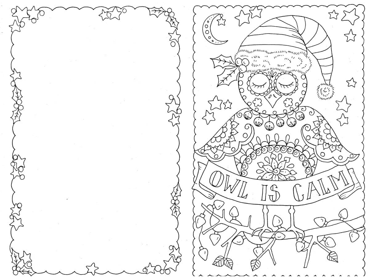 На раскраске изображено: Новогодняя открытка, Сова, Шапка Санты, Ночь, Новогодний декор