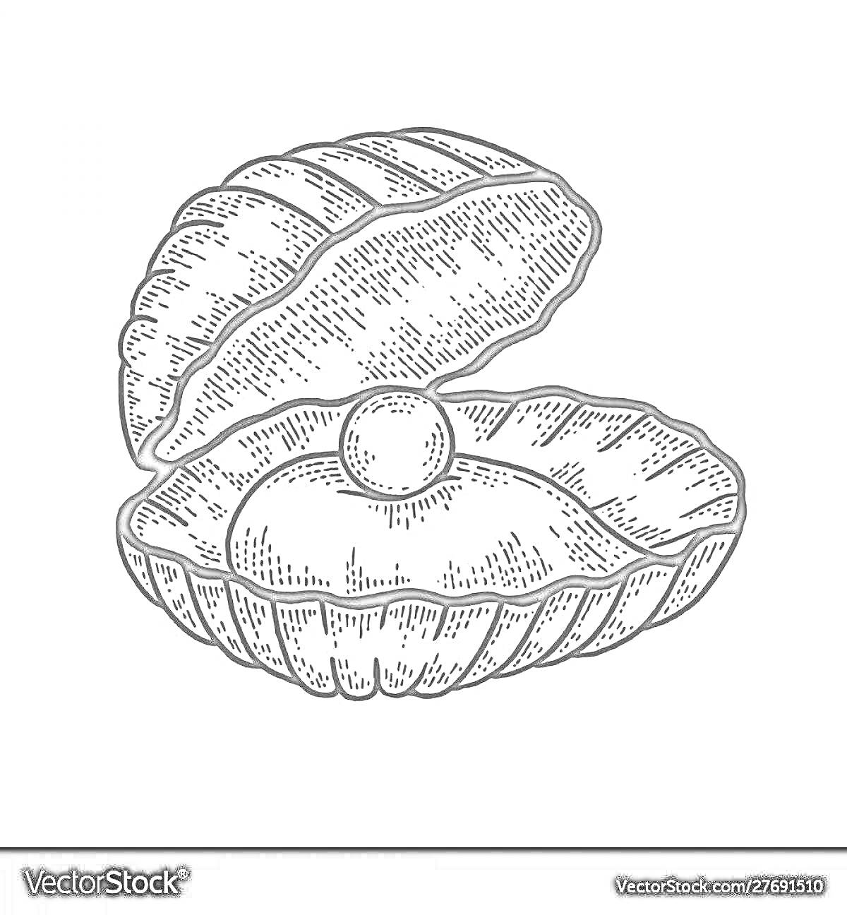На раскраске изображено: Ракушка, Жемчужина, Подводный мир, Раковина, Контурные рисунки