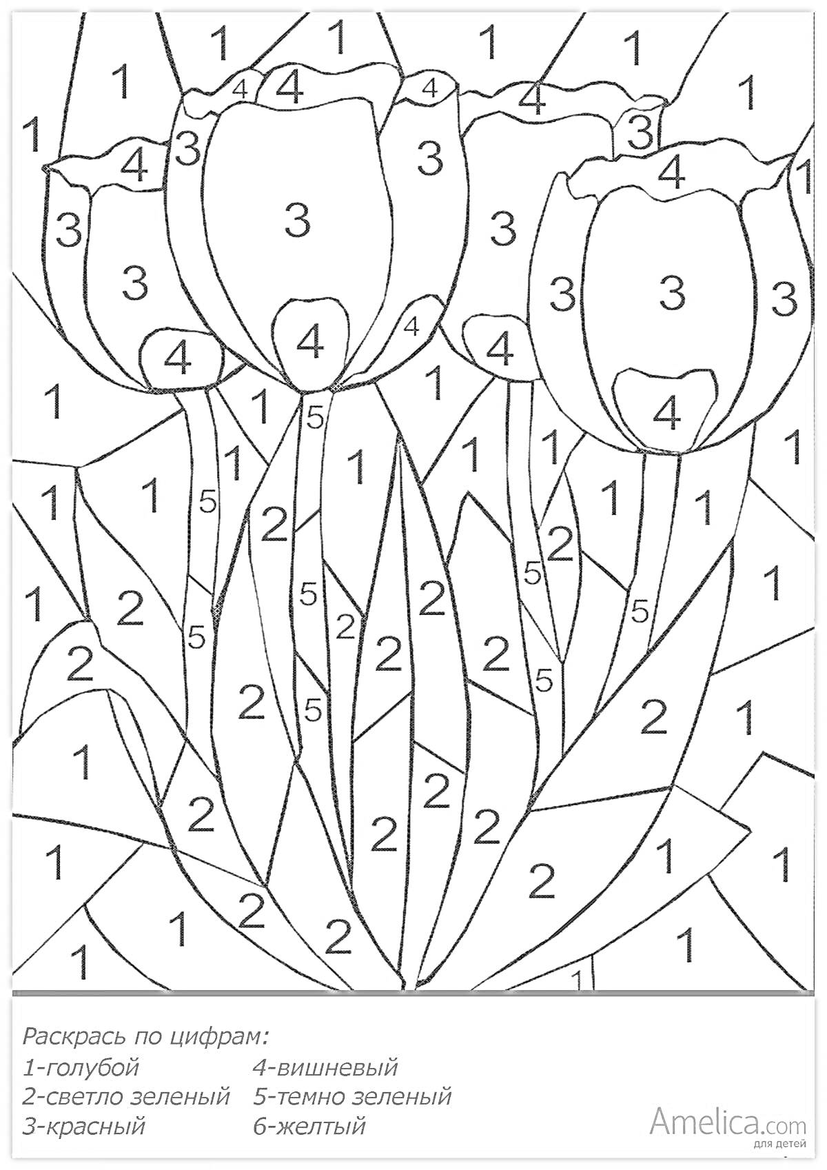 Раскраска Раскраска по номерам с изображением цветов тюльпанов