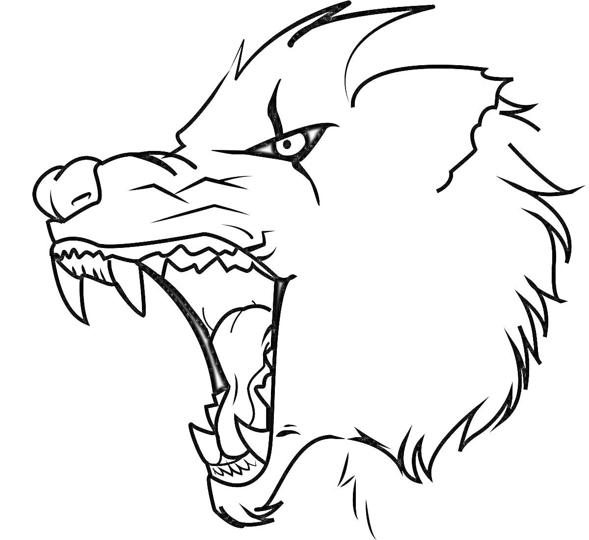 На раскраске изображено: Волк, Оскал, Зубы, Прищуренные глаза, Профиль